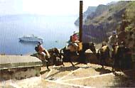 Santorini - Donkey ride.