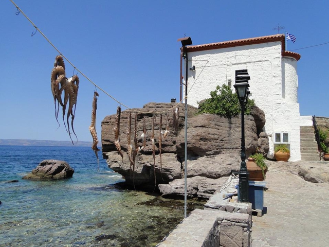 des îles du nord-est de la mer Égée (Chios, Samos, Lesvos, Limnos, Psara, Agios Efstratios, Fourni, Inousses) depuis les ports de la Grèce continentale (Pirée, Lavrio, Kavala) 