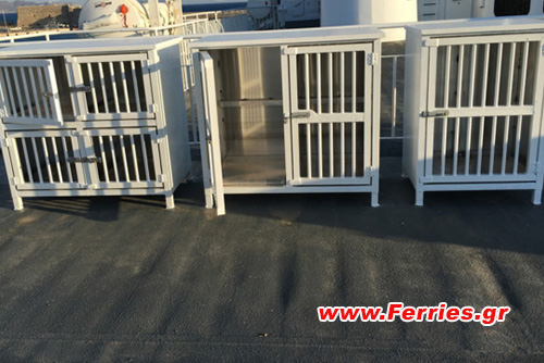 Passenger / Car Ferry Catamaran High Speed Power Jet Kennels